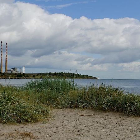 Beach House B&B Dublin Rum bild