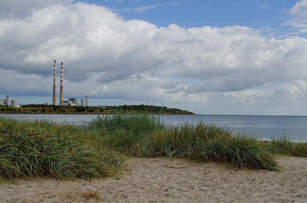 Beach House B&B Dublin Rum bild